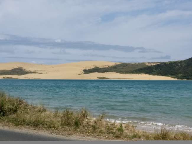 Sand dune in Opononi