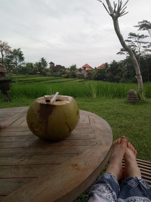 Chilling at the end of the day in the rice fields