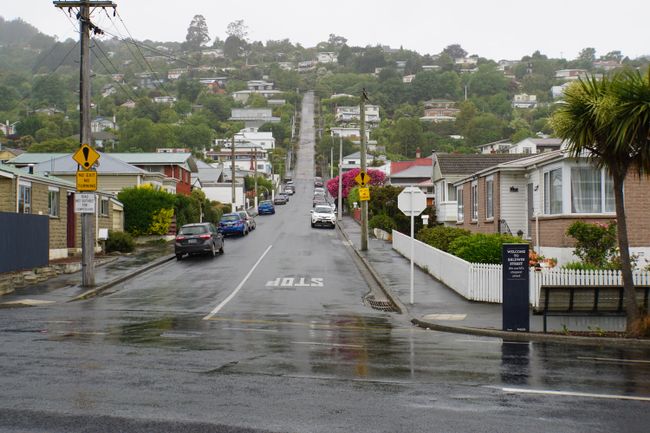 Dunedin and the Otago Peninsula