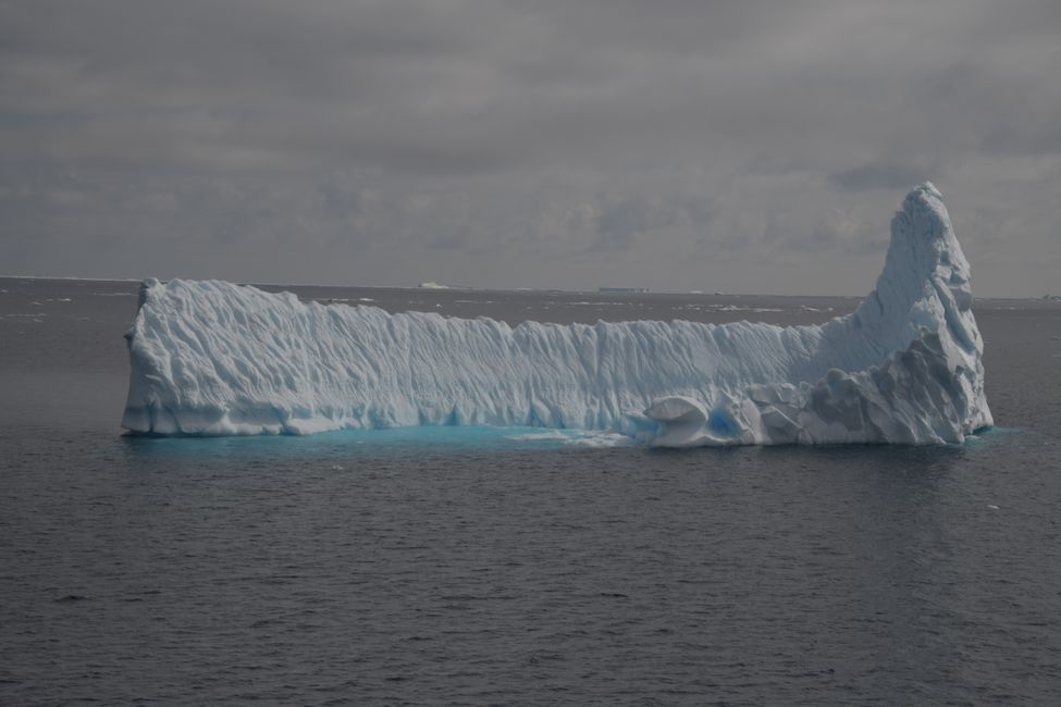 Iceberg