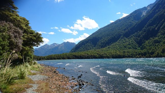 Lake Gunn Nature Walk