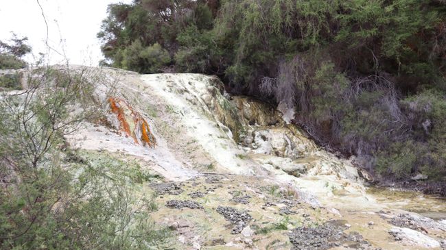 Tag 9 Wai-O-Tapu Thermal Wonderland