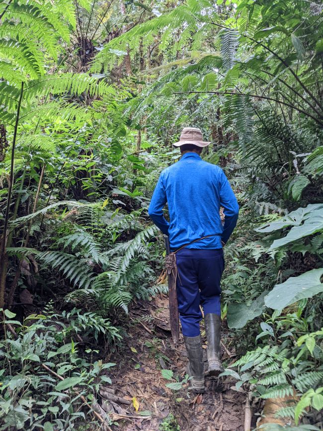 Stage 10: In the Palo Verde Cloud Forest surrounded by hummingbirds