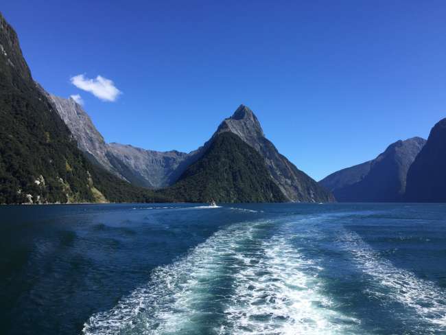 Milford Sound & Southern Scenic Route