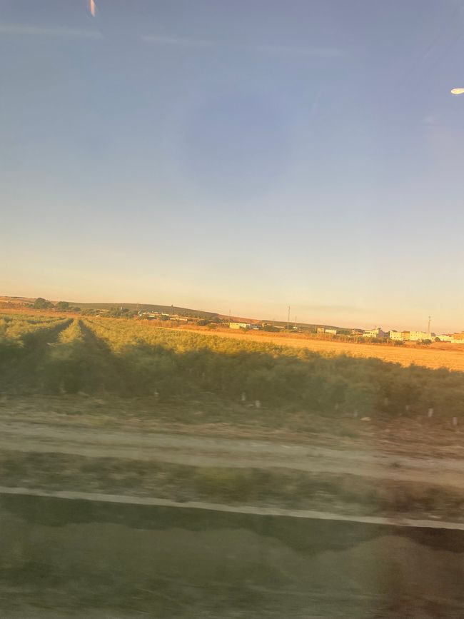 Von Jaén nach Córdoba, Tag 33