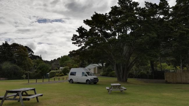 Camping at Kauri Forest