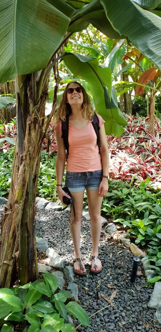 Singapour & Cairns