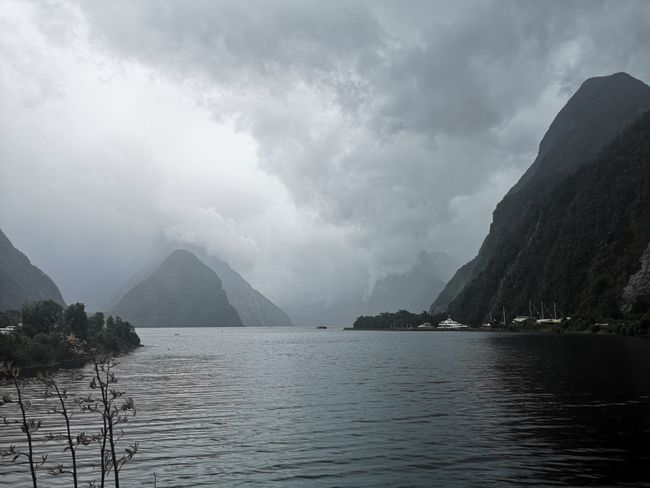 Arriving at Milford Sound