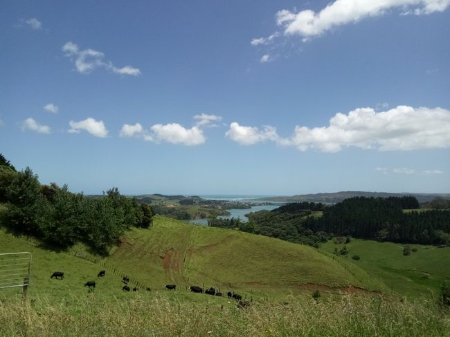 View of Raglan (from the gravel road) 