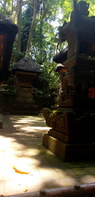 Tempel im Monkey Forrest