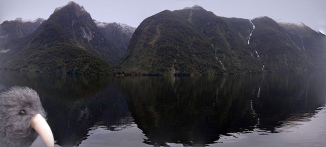 Day 15 - Sounds of the Fjords: The Doubtful Sound