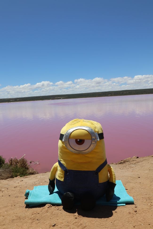 Stuart at Pink Lake