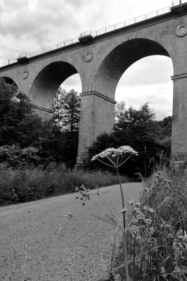 Viaduct in Sinntal 🚂