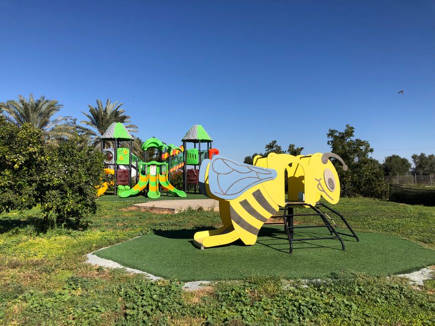 Antelia Bee Park: Spielplatz