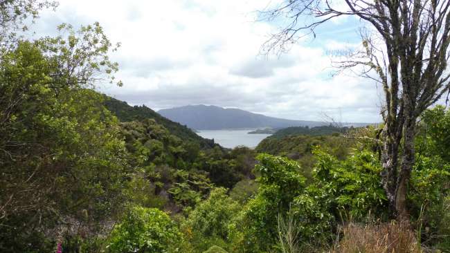 Blick auf den Vulkan Mt. Tarawera und den Rotomahana See