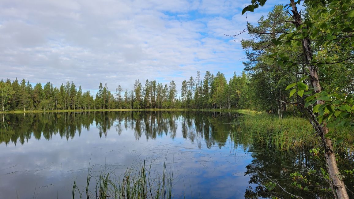 Viaje a Suecia
16 de agosto-3 de septiembre de 2023
26 de agosto