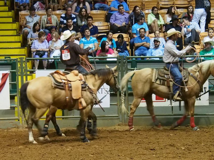 Fort Worth & a Rodeo