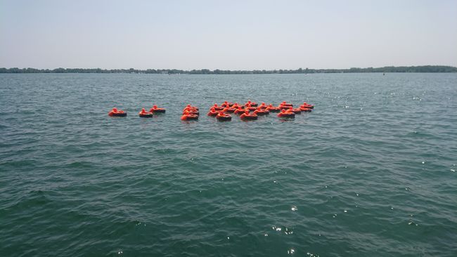 SOS; Safety Orange Swimmers, Toronto