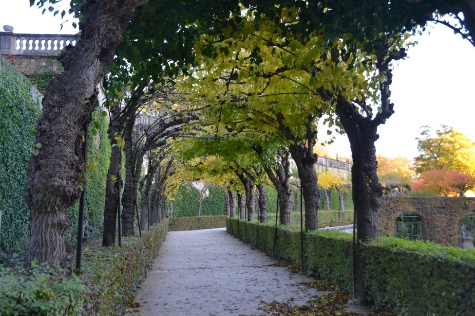 Park of the Residence