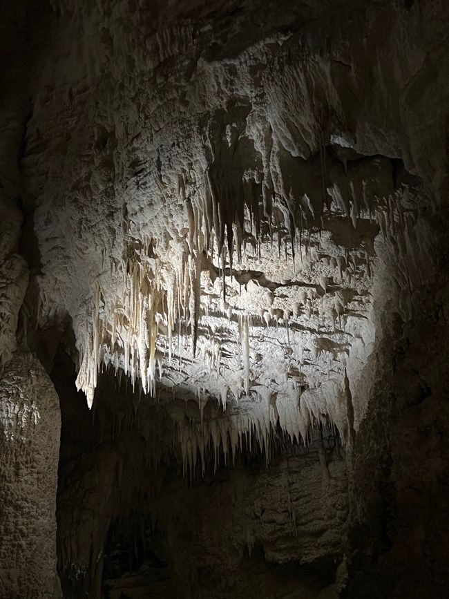 Waitomo - Aranui Cave