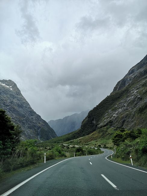 Milford Sound and Goodbye