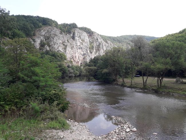 Blick ins Flusstal in Richtung Vadu Crişului