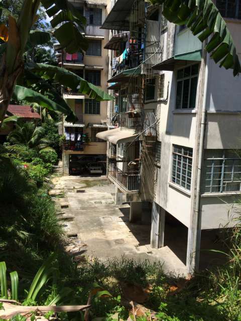 The houses in Sandakan are almost in the jungle