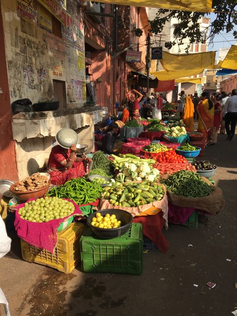 6.11.18 Jaipur