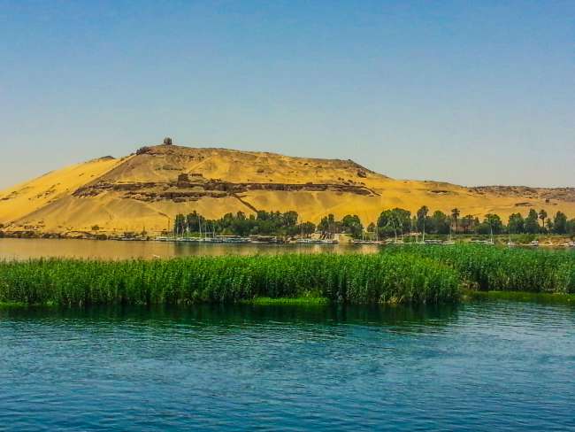 Nile river bank