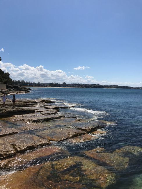 Manly - new home