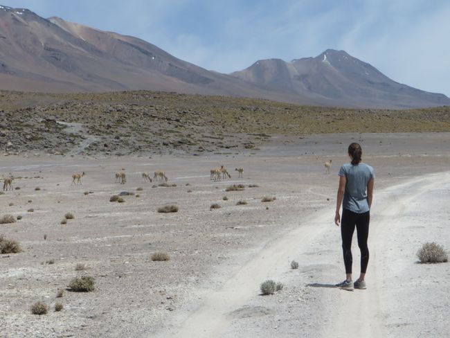 Salar de Uyuni