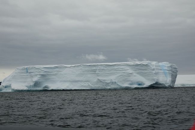 20-12-19: Icebergs, icebergs, icebergs