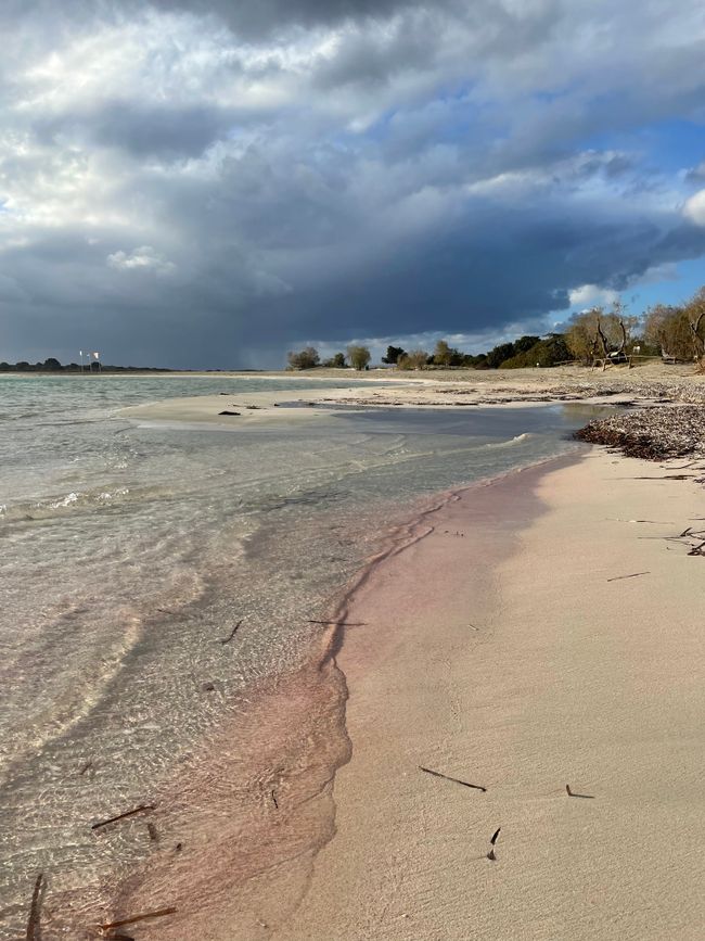 Das Markenzeichen des Elafonissi Beach ist sein pinker Sand, welcher aus, durch die Gezeiten und Stürme zerkleinerten Muscheln besteht.