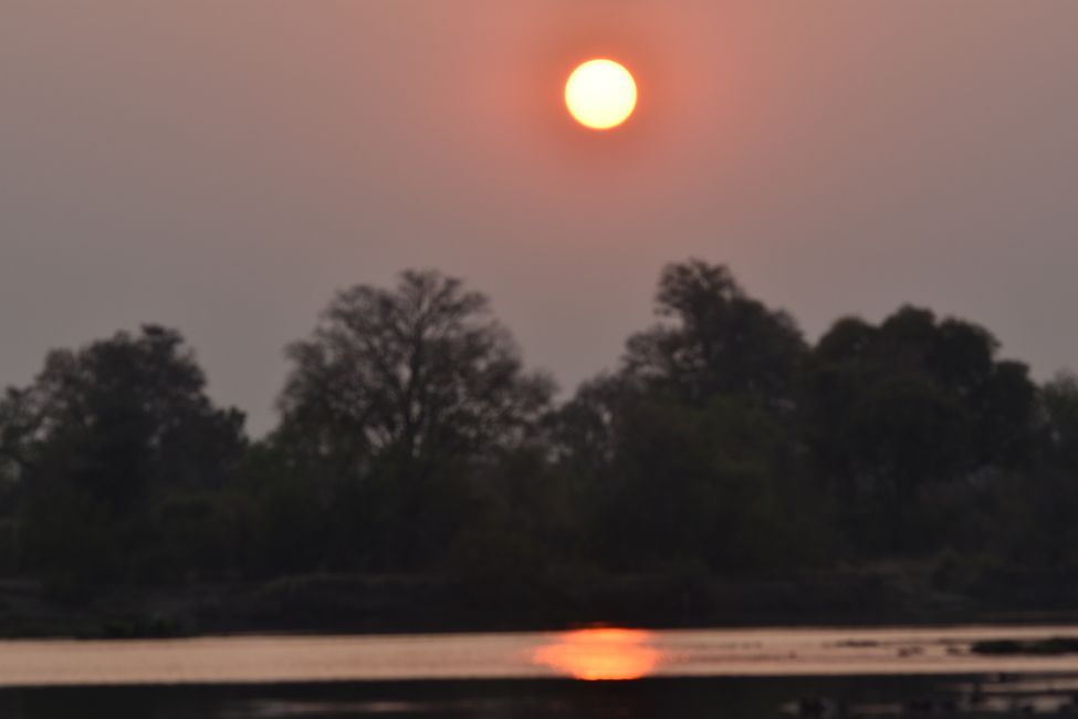 Sonnenaufgang am Sambesi