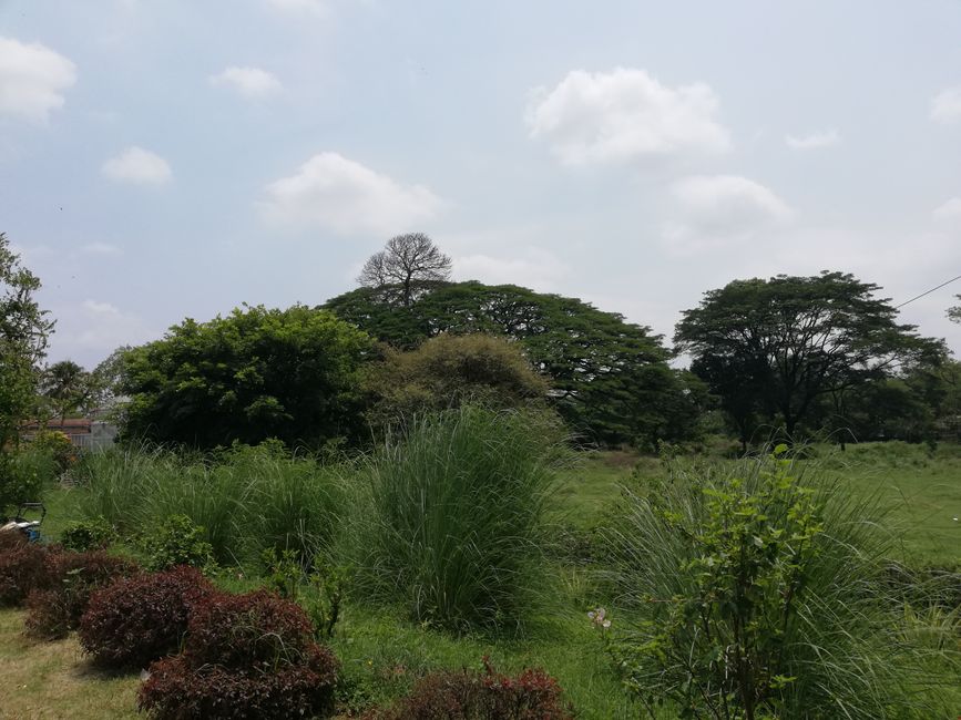 Sightseeing in Bangalore