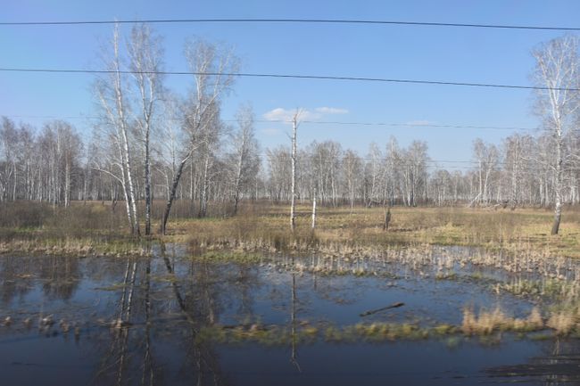 On the Transsib to Krasnoyarsk