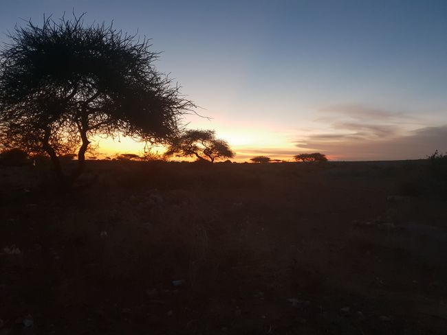 Two months in Somaliland