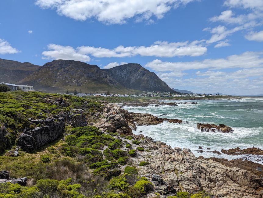 Hermanus / Cliff Path und die eigentliche "Walhauptstadt" Gansbaai