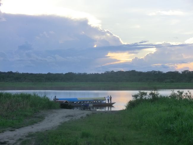 About Iquitos and the jungle - 5 days in the rainforest