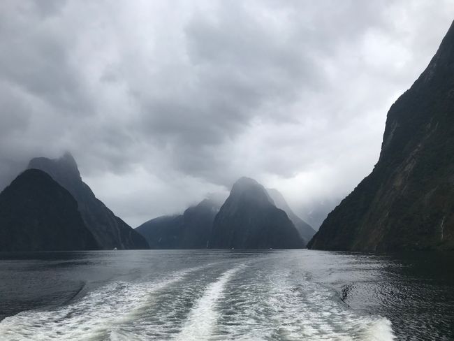 Queenstown where the bear dances and the wonderful Milford Sound