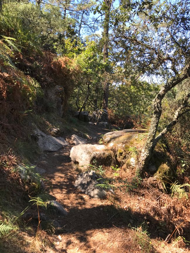 4. Étape : De Fao (Ofir) à Viana do Castelo