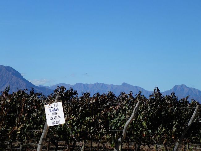Salta, die Quebrada de Cafayate, der höchste Wein der Welt…und mal wieder unser Tank