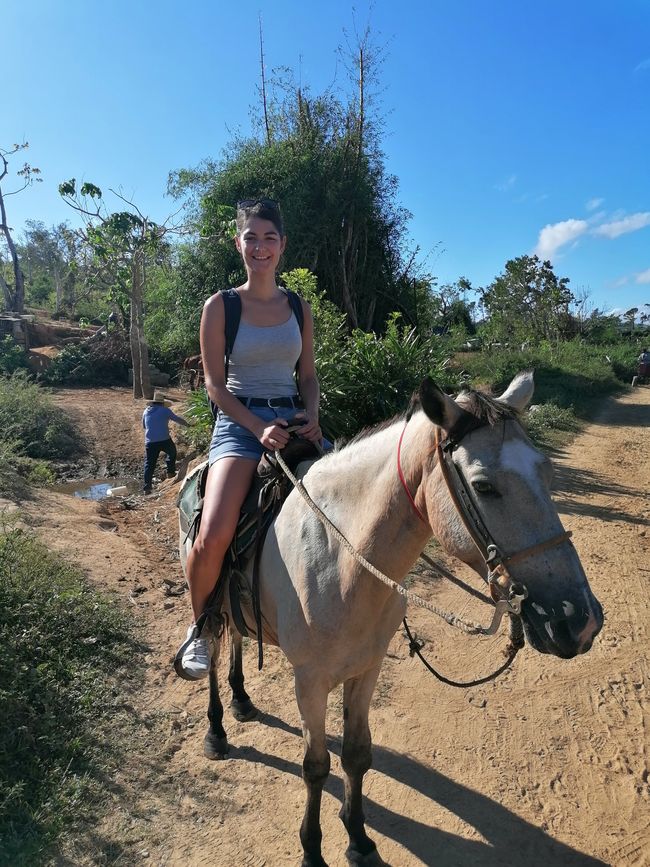 On horseback!