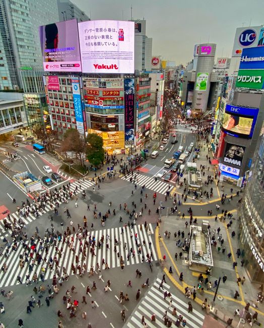 Shibuya.... The world's busiest pedestrian crossing