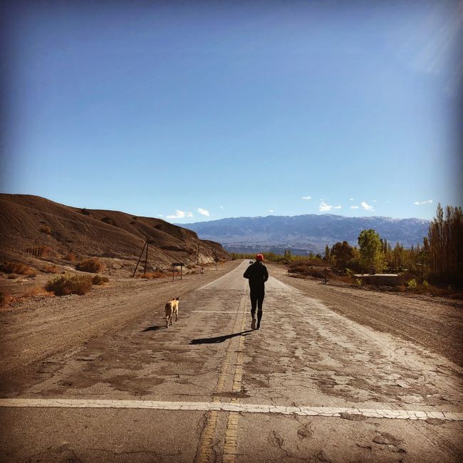 The morning run with our house dog Suri, who drove all the street dogs and neighboring farm dogs crazy.