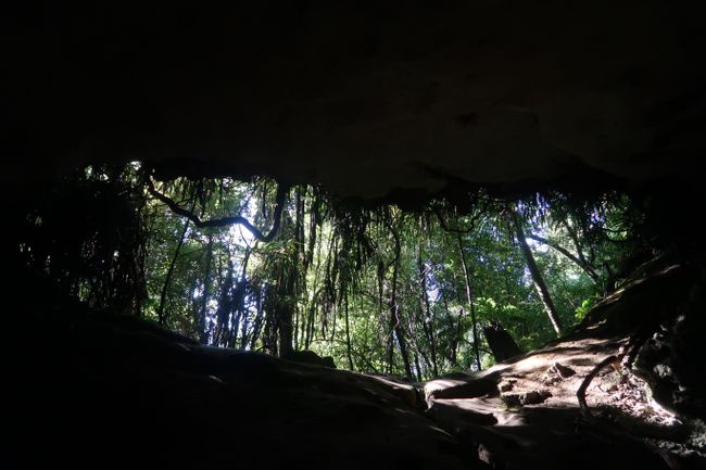 Stafford's Cave - Descent