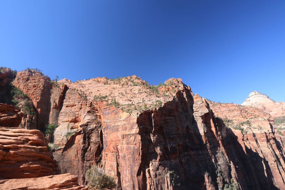 Hari ke-2 di Zion NP - hari ini: Canyon Overlook Trail