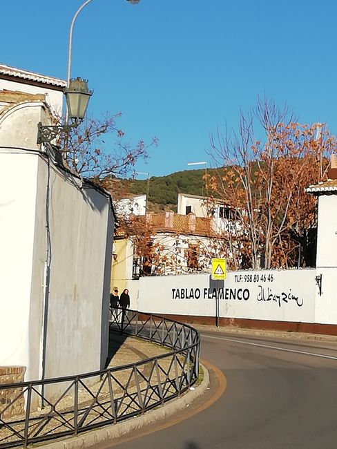 Granada 2019