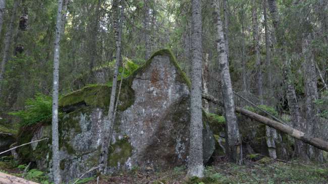 Der Nationalpark war unter anderem Drehort für Ronja Räubertochter (die Waldszenen)