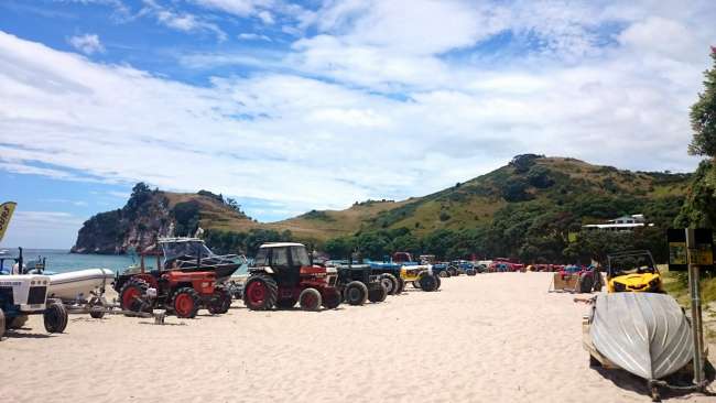 All these tractors were used to transport boats into the water